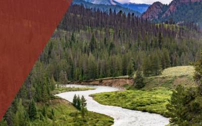 FY 2024 USFS/AIANTA NATIVE Act Grant Process
